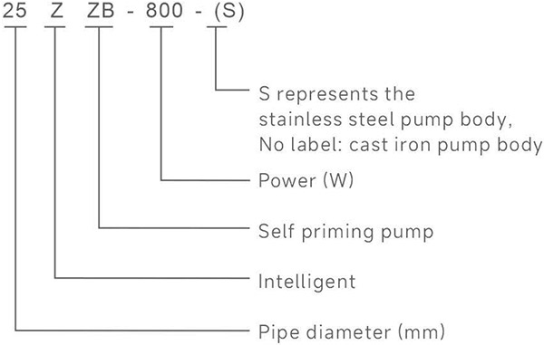 ecp21-03.jpg